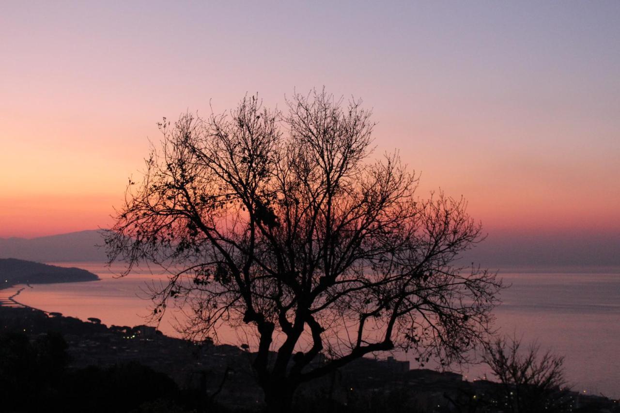 Villa Treglia B&B Formia Exterior photo